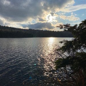 Meet your Posher, Sally